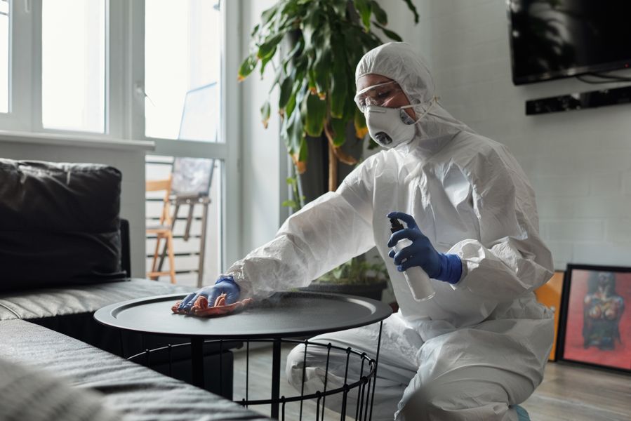 Professional cleaner carefully sanitizing a surface
