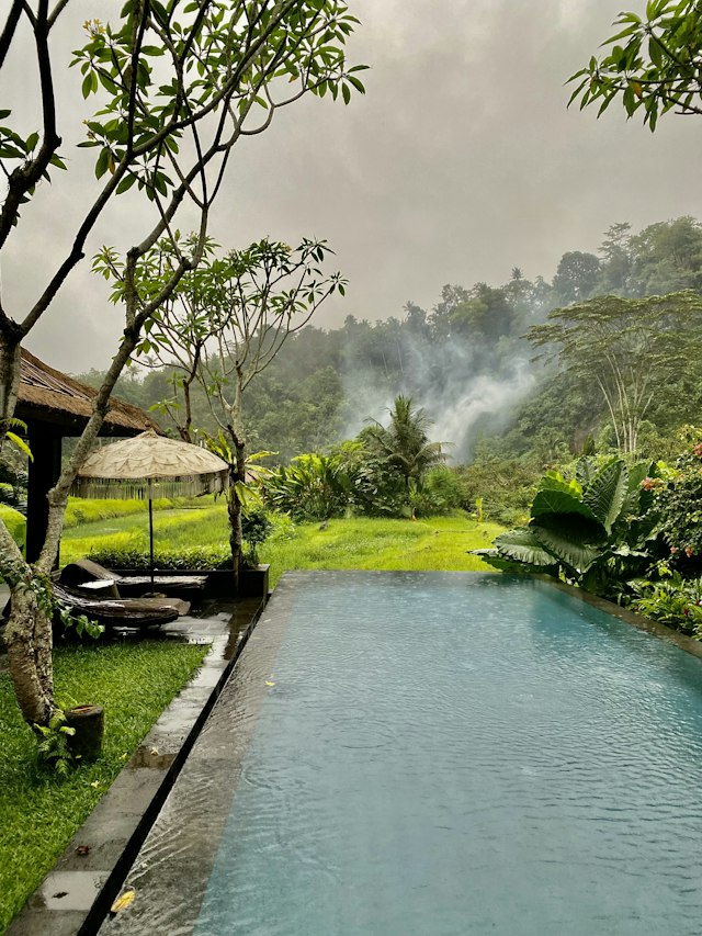 Lush landscaped garden beside a resort pool
